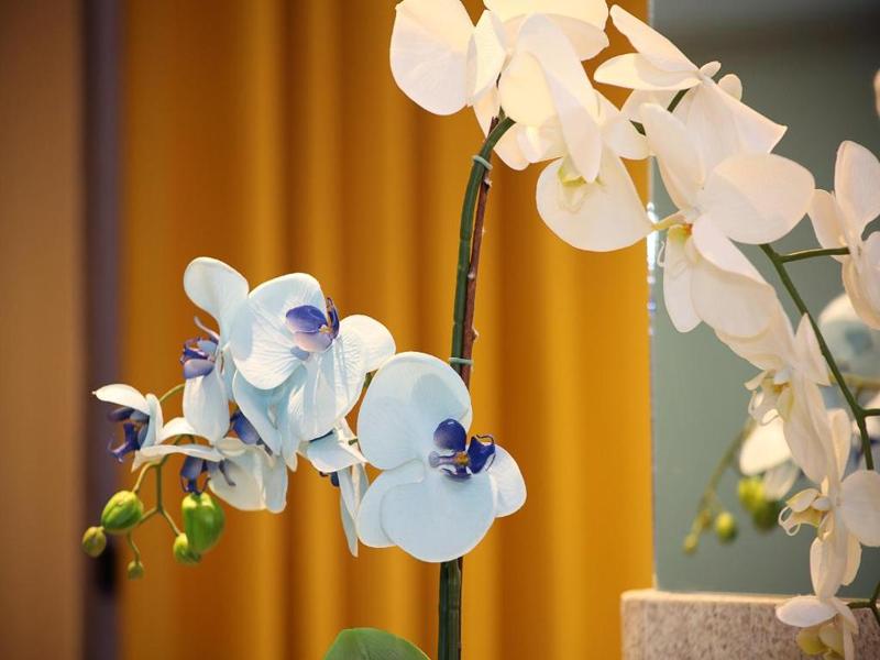 elegance praia hotel rio de janeiro 27269965